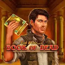 Try Book of Dead slot by Play'n GO on 500-casino.se – logo image
